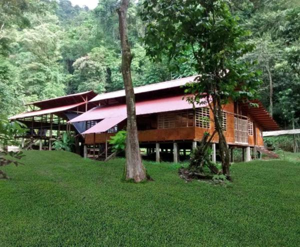 Safio. Una Casa En El Paraiso. Nuqui Exterior photo